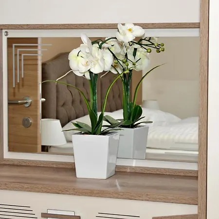 Sunshine - Great Mountain View *